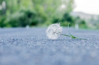 Fragilidade pode te deixar estressada! Jamais faça  isso